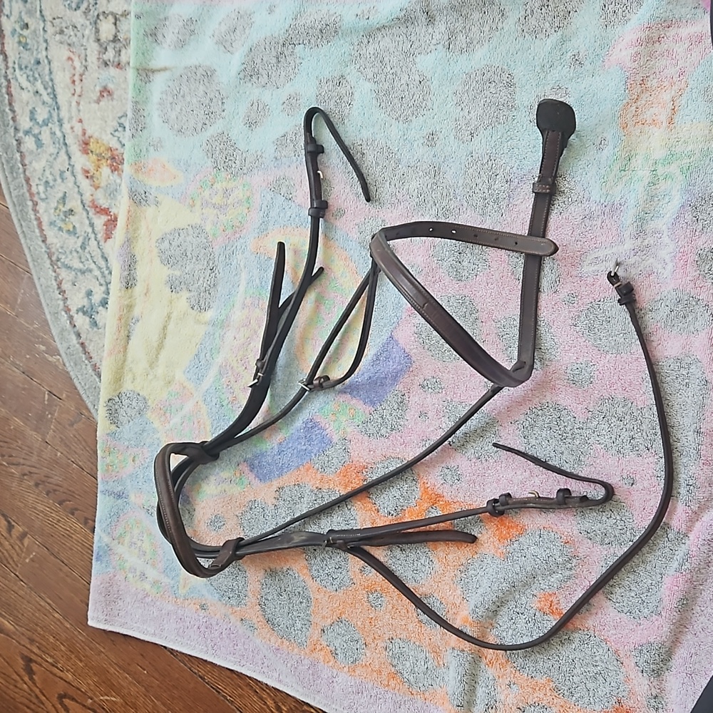 English huntseat bridle